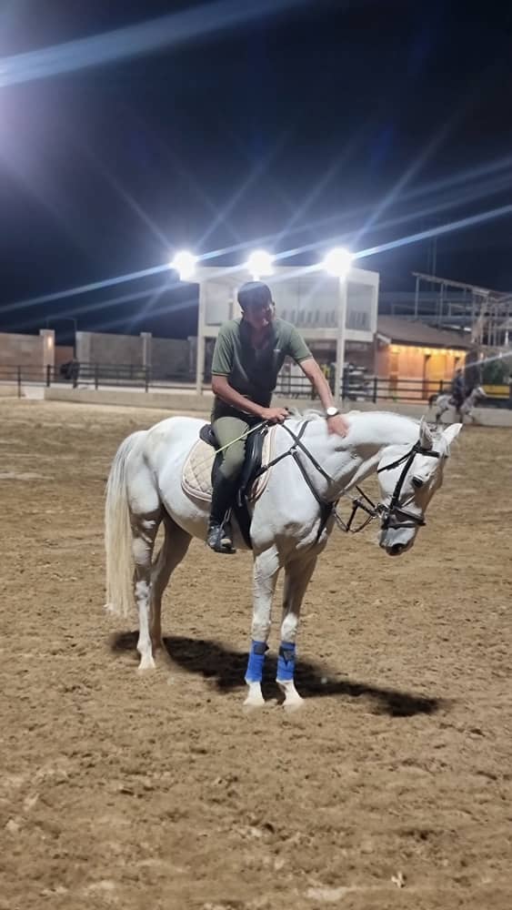 آموزش سوارکاری توسط سعیدصدیقی