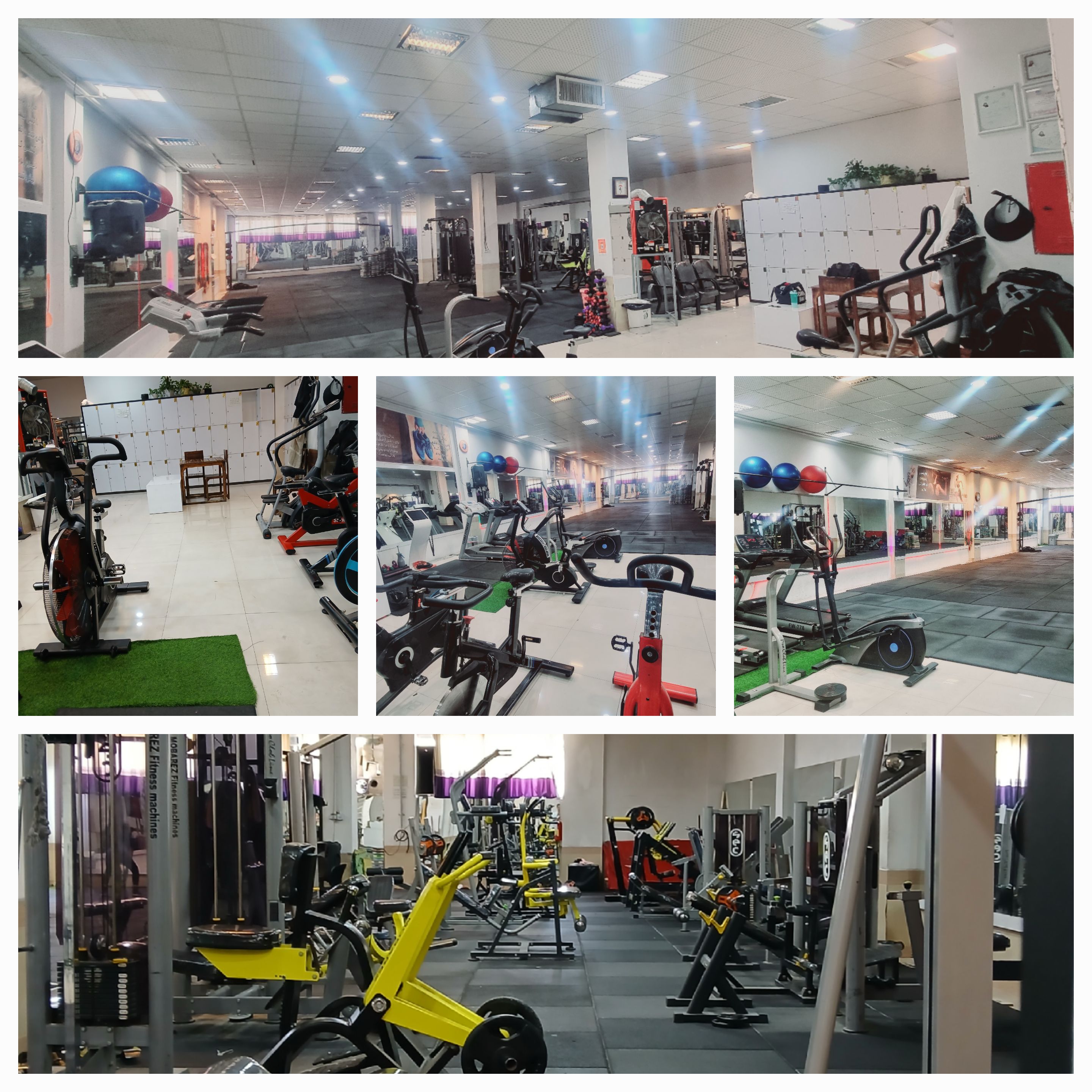 باشگاه ورزشی فونیکس (ققنوس)