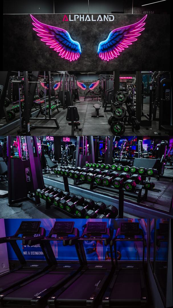 باشگاه آلفاند ویژه بانوان