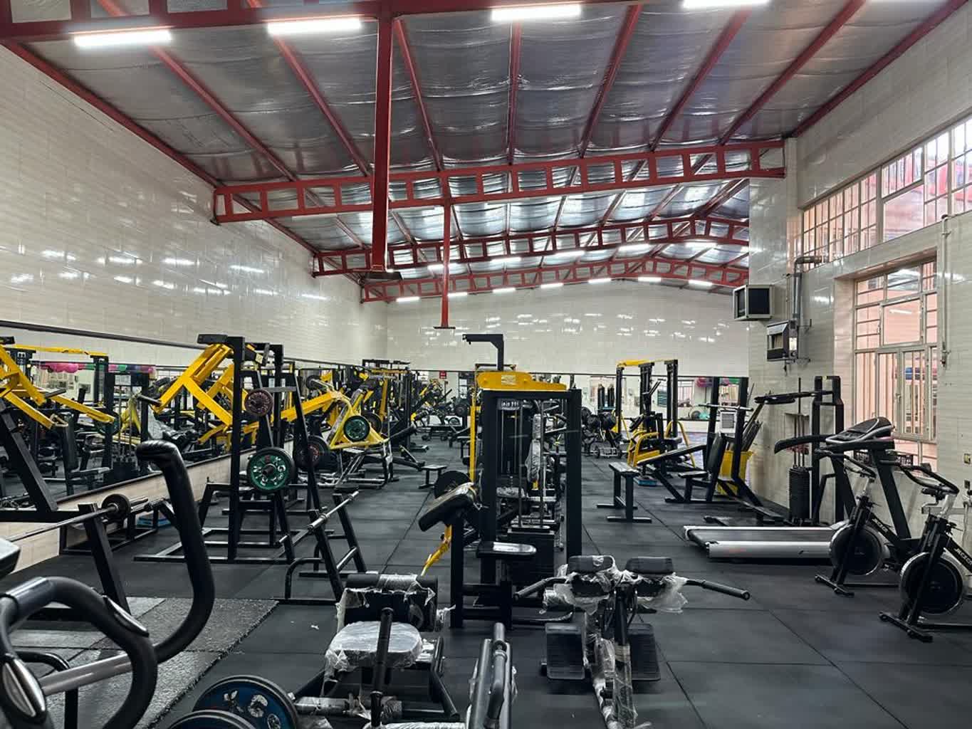 باشگاه ورزشی محمودیان